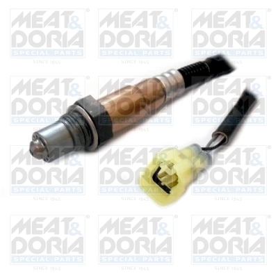 Oxygen Sensor